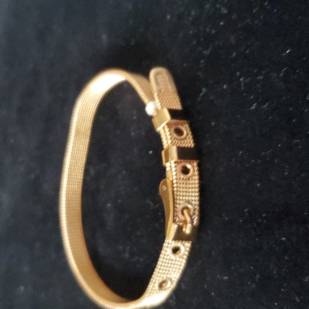 Buckle belt bracelet